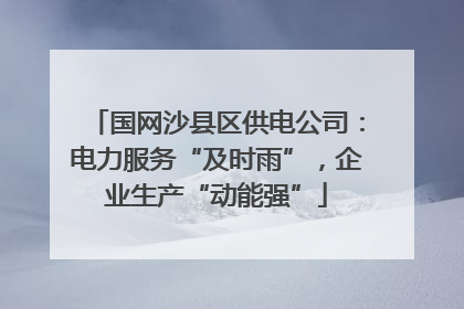 国网沙县区供电公司：电力服务“及时雨”，企业生产“动能强”