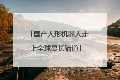 国产人形机器人走上全球最长猫道