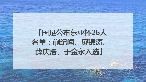 国足公布东亚杯26人名单：蒯纪闻、廖锦涛、薛庆浩、于金永入选