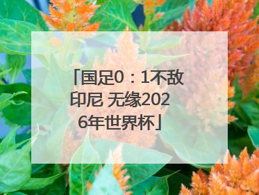 国足0：1不敌印尼 无缘2026年世界杯