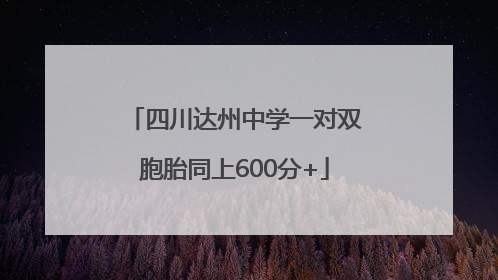 四川达州中学一对双胞胎同上600分+