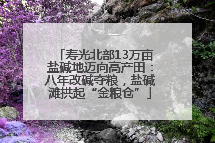 寿光北部13万亩盐碱地迈向高产田：八年改碱夺粮，盐碱滩拱起“金粮仓”