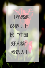 孝感池汉桥，上榜“中国好人榜”候选人