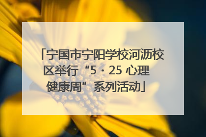 宁国市宁阳学校河沥校区举行“5・25 心理健康周”系列活动