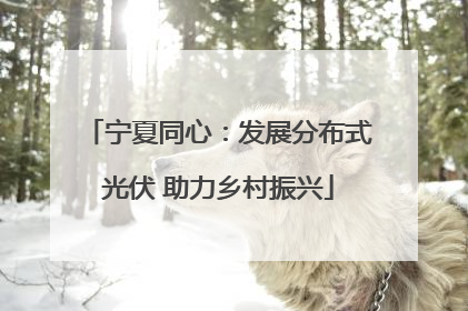 宁夏同心：发展分布式光伏 助力乡村振兴