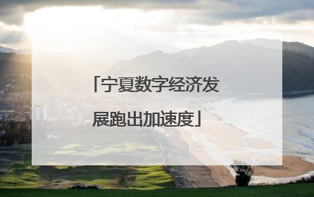 宁夏数字经济发展跑出加速度