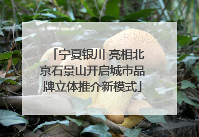 宁夏银川 亮相北京石景山开启城市品牌立体推介新模式