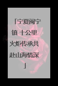 宁夏闽宁镇 十公里火炬传承共赴山海情深