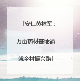 安仁黄林军：万亩药材基地铺就乡村振兴路