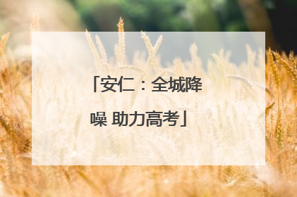 安仁：全城降噪 助力高考