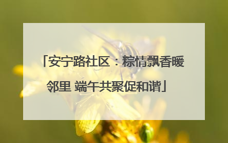 安宁路社区：粽情飘香暖邻里 端午共聚促和谐