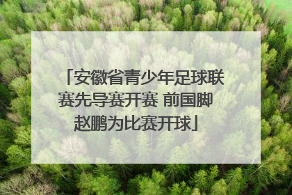 安徽省青少年足球联赛先导赛开赛 前国脚赵鹏为比赛开球