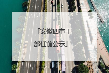 安徽四市干部任前公示