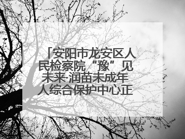 安阳市龙安区人民检察院“豫”见未来·润苗未成年人综合保护中心正式揭牌