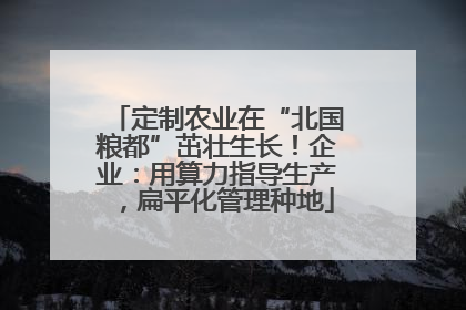 定制农业在“北国粮都”茁壮生长！企业：用算力指导生产，扁平化管理种地