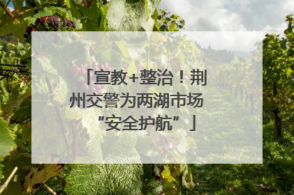 宣教+整治！荆州交警为两湖市场“安全护航”