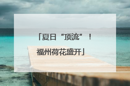 夏日“顶流”！福州荷花盛开