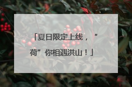 夏日限定上线，“荷”你相遇洪山！