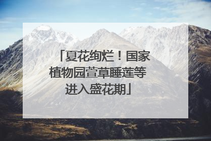 夏花绚烂！国家植物园萱草睡莲等进入盛花期