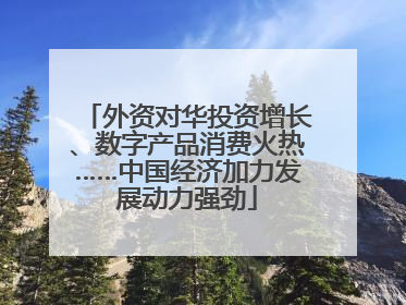 外资对华投资增长、数字产品消费火热……中国经济加力发展动力强劲