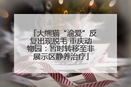 大熊猫“渝爱”反复出现脱毛 重庆动物园：暂时转移至非展示区静养治疗