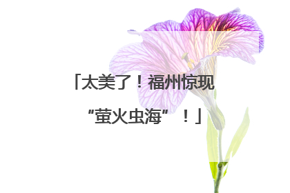 太美了！福州惊现“萤火虫海”！