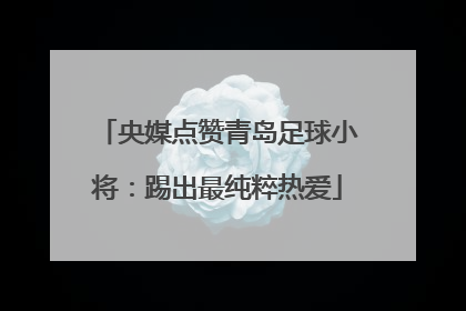 央媒点赞青岛足球小将：踢出最纯粹热爱