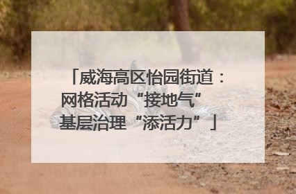 威海高区怡园街道：网格活动“接地气” 基层治理“添活力”