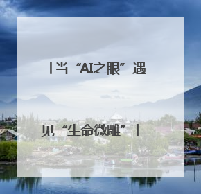 当“AI之眼”遇见“生命微雕”