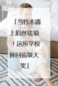 当竹木遇上掐丝珐琅！这所学校捧回省级大奖