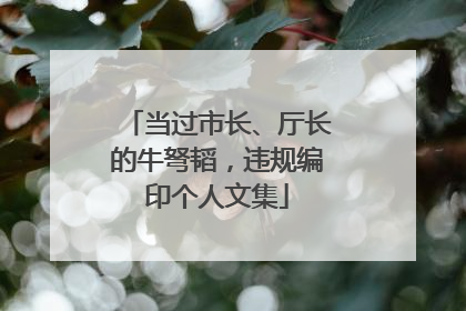 当过市长、厅长的牛弩韬，违规编印个人文集