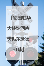 德国驻华大使馆回应樊振东赴德打球