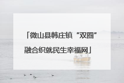 微山县韩庄镇“双圈”融合织就民生幸福网
