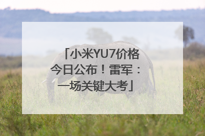 小米YU7价格今日公布！雷军：一场关键大考