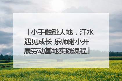 小手触碰大地，汗水遇见成长 乐师附小开展劳动基地实践课程