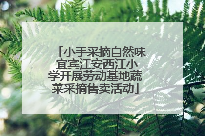 小手采摘自然味 宜宾江安西江小学开展劳动基地蔬菜采摘售卖活动
