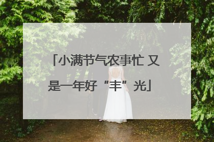 小满节气农事忙 又是一年好“丰”光