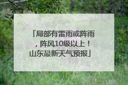 局部有雷雨或阵雨，阵风10级以上！山东最新天气预报
