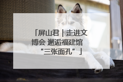屏山君｜走进文博会 邂逅福建馆“三张面孔”