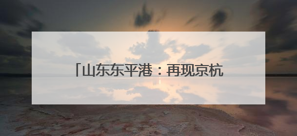 山东东平港：再现京杭运河“黄金水道”盛景