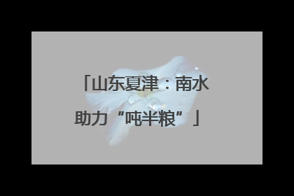 山东夏津：南水助力“吨半粮”