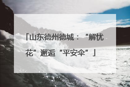 山东德州德城：“解忧花”邂逅“平安伞”