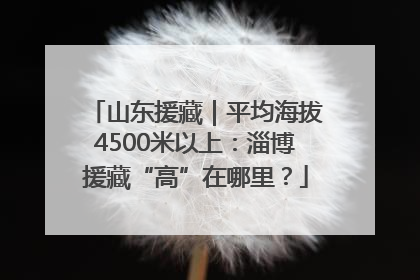 山东援藏｜平均海拔4500米以上：淄博援藏“高”在哪里？