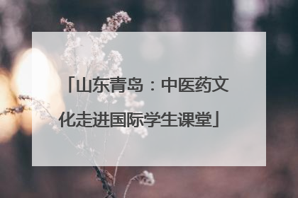 山东青岛：中医药文化走进国际学生课堂