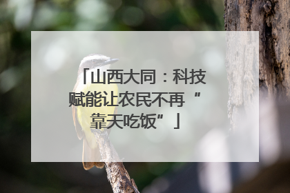 山西大同：科技赋能让农民不再“靠天吃饭”