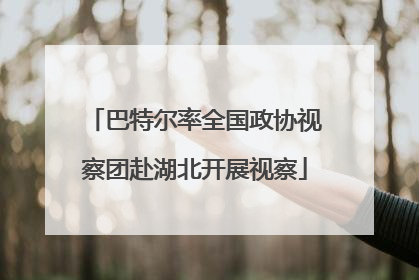 巴特尔率全国政协视察团赴湖北开展视察