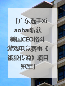 广东选手Xiaohai斩获美国CEO格斗游戏电竞赛事《饿狼传说》项目冠军