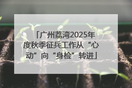 广州荔湾2025年度秋季征兵工作从“心动”向“身检”转进