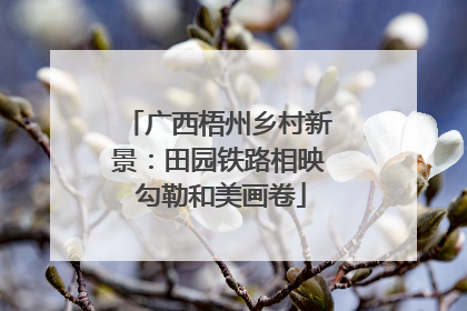 广西梧州乡村新景：田园铁路相映 勾勒和美画卷