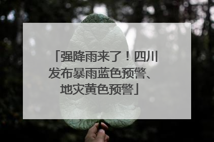 强降雨来了！四川发布暴雨蓝色预警、地灾黄色预警
